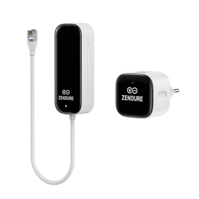 Zendure Slimme Meter P1