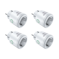 Zendure Smart Plug Pro